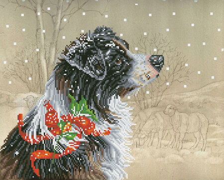 Christmas Collie - Diamond Dotz - Intermediate Kit