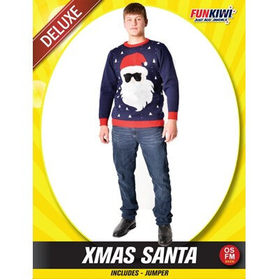 Christmas jumper - Santa