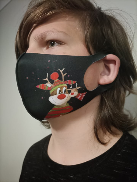 ***CHRISTMAS LIMITED EDITION MASKS**** Reindeer & Friend Washable Mask