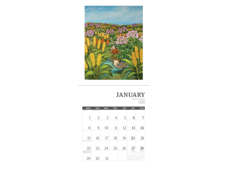 Clare Reilly New Zealand Calendar 2024