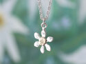 Clematis mini flower puawananga star necklace silver gold lily griffin nz