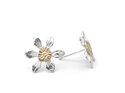 Clematis mini flower studs native stars sterling silver gold lilygriffin nz