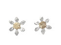 Clematis mini flower studs puawananga stars sterling silver gold lilygriffin nz