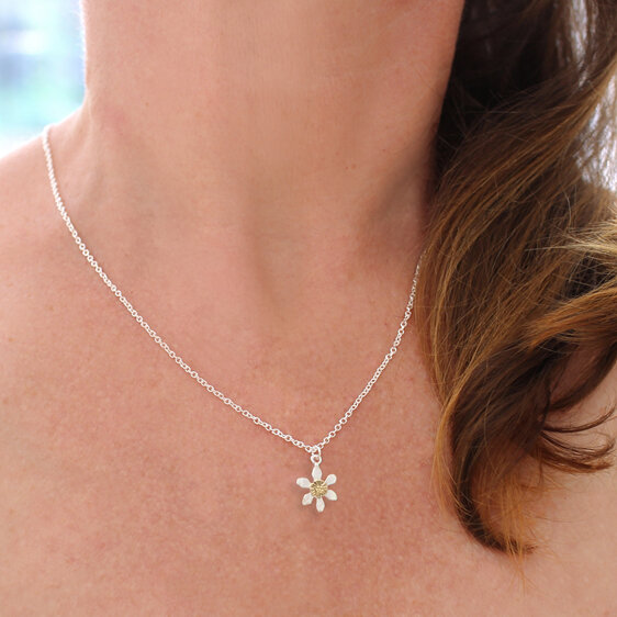 Clematis mini native puawananga star flower pendant lily griffin nz jewellery