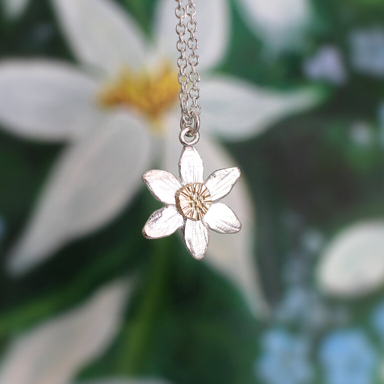 clematis native flower puawananga spring silver pendant gold lily griffin nz