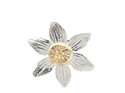 Clematis native flower puawananga sterling silver solid gold brooch lilygriffin