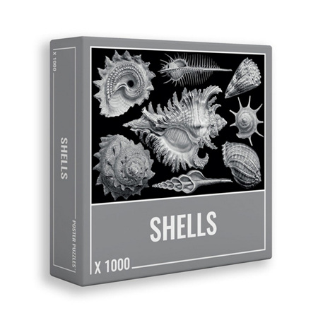 Cloudberries 1000 Piece Jigsaw Puzzle:  Shells