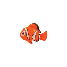 Clown fish - orange