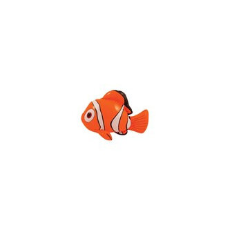 Clown fish - orange