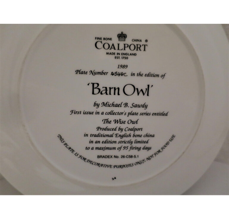 Coalport Barn Owl