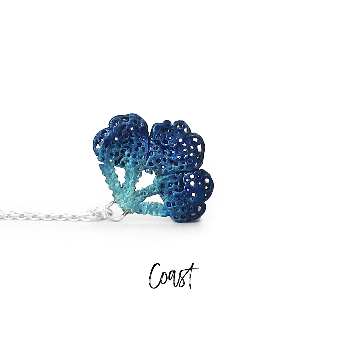 coast ocean sea shells seafan pearls kina urchin fish ika seaweed coral jeweller