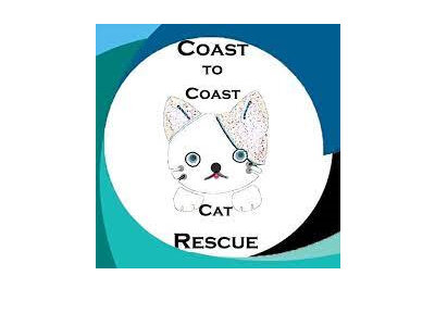 Coast to Coast Cat Rescue