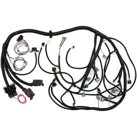 Coil Harness & Plugs