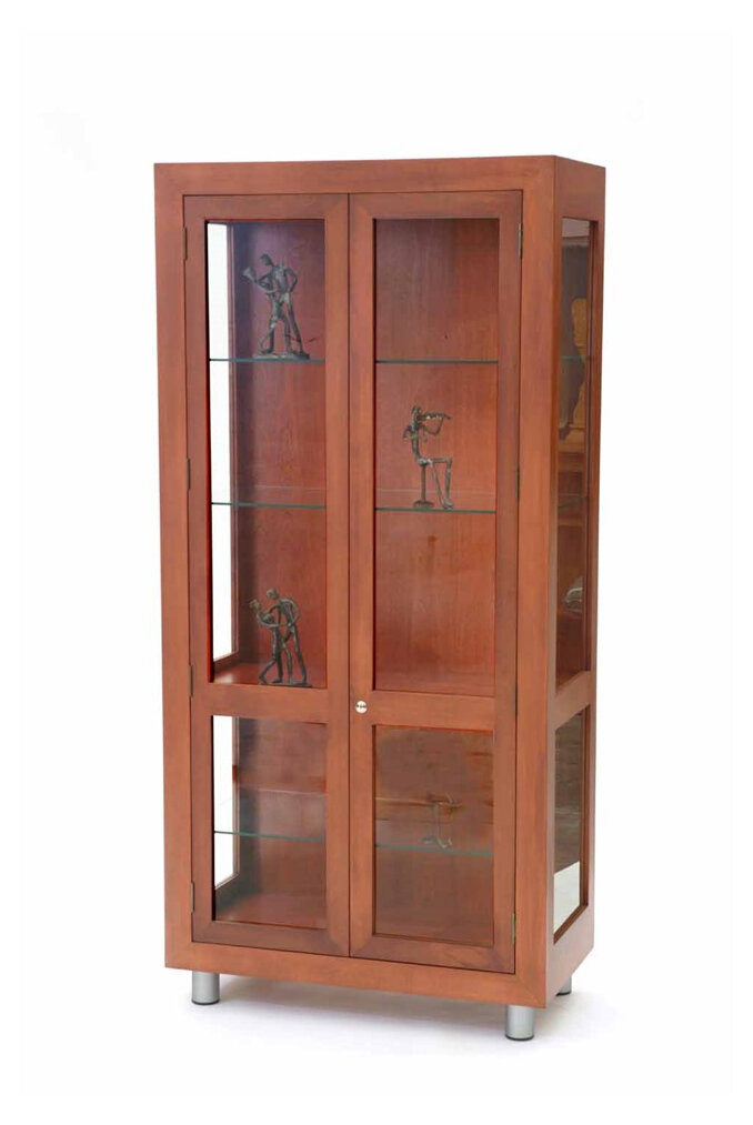 Contemporary display cabinet