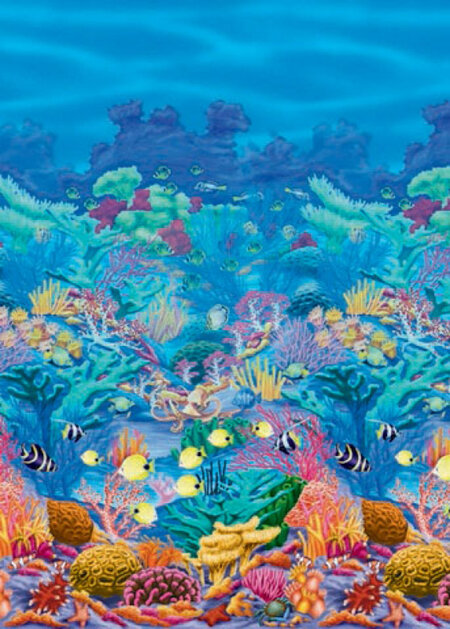 Coral reef room roll - 12m long - looks great up!