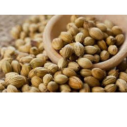 Coriander Seed Organic Approx 10g