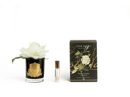 Cote Noire Perfumed Natural Touch Single Rose - Black - Ivory White - GMRB01