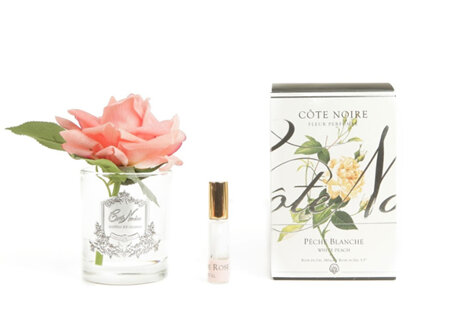 Cote Noire Perfumed Natural Touch Single Rose - Clear - White Peach - GMR05