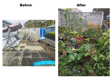 Courtyard transformation Before and After