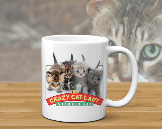 Crazy Cat lady Fun Mug