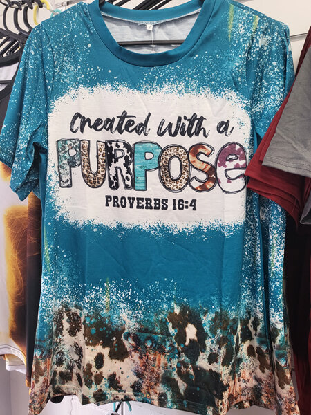 Created with a purpose adults top