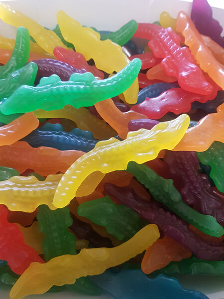 Crocodile Lollies 1.24kg