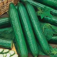 Cucumber Organic or Spray Free Each