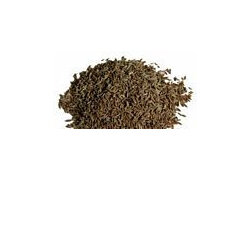 Cumin Seed Organic Approx 10g