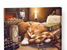 Cute Cat Sleeping - Paint By Numbers - Canvas on Wooden Frame