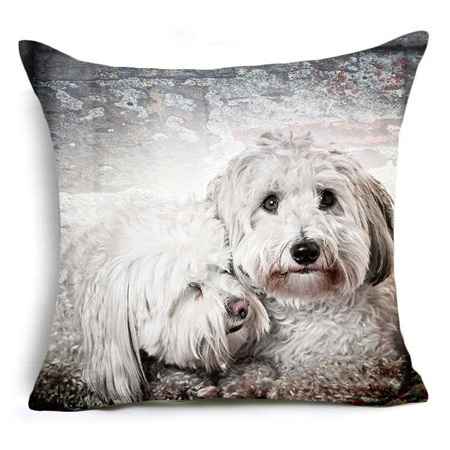 Cute Maltese Dog Cushion Cover