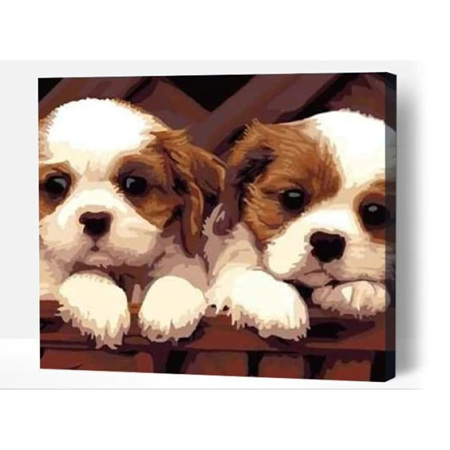 Cute Puppy Pair - Paint By Numbers - Canvas On Wooden Frame