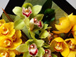 Cymbidium Orchids in water filled Vox