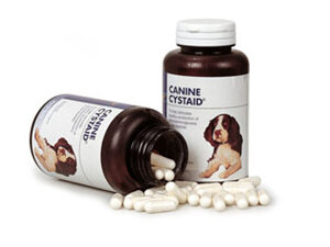 Cystaid Capsules Canine 120