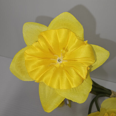 Daffodil Golden Yellow 4647