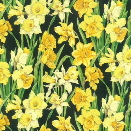 Daffodils NT89420102