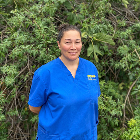 Dallas - Senior Vet Nurse