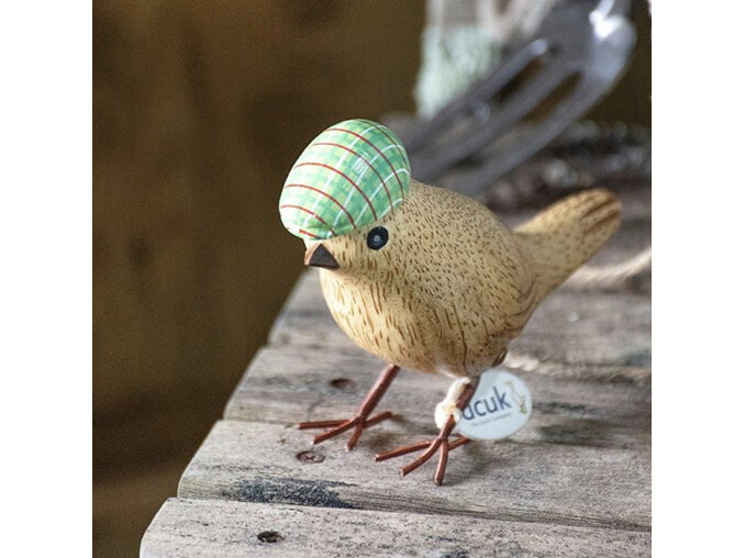 DCUK DAPPER Garden Bird in a Box with GREEN FLAT CAP HAT