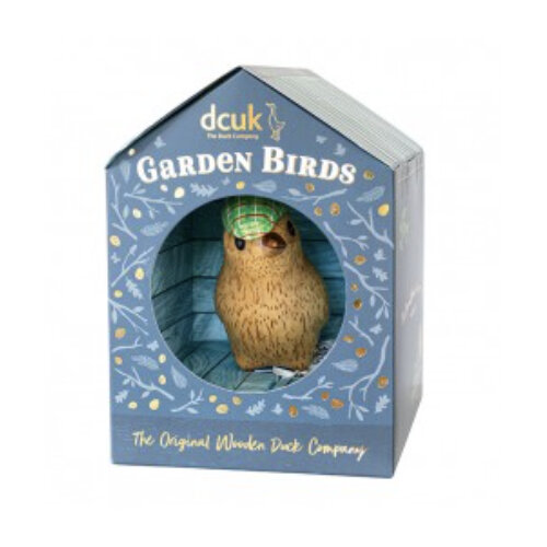 DCUK Dapper Garden Bird in Box with Flat Green Cap