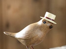 DCUK Dapper Garden Bird with a Straw Hat in a Garden Box