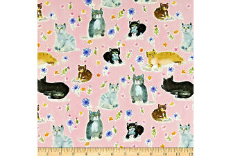 Dear Stella Purrty Multi stella-daw1211