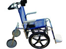 DeBug Pool Wheelchair