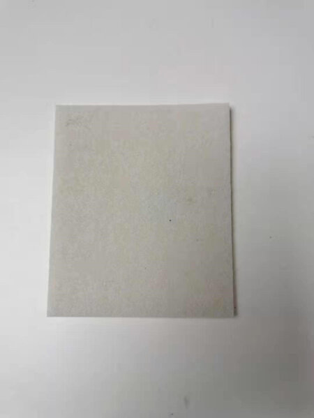 Delonghi XTL210PE Filter Part CJ1195