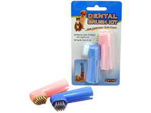 Dental Brush Kit