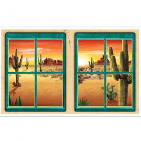 Desert window view