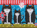 Designer Ribbon - Black Tuxedo Cats on blue