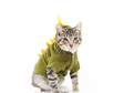Dinosaur Costume for Cats