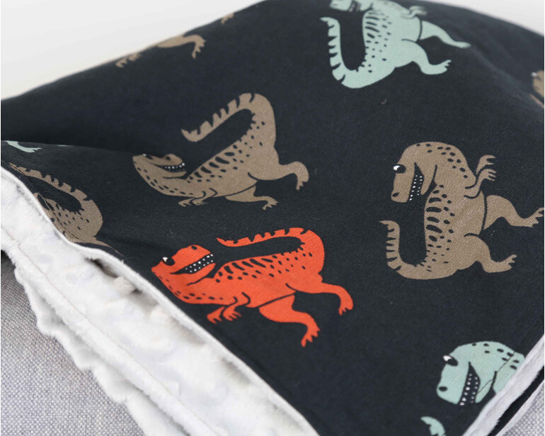 Dinosaur minky blanket, handmade by Miss Izzy in New Zealand