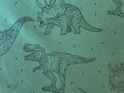 dinosaur pattern unisex raincoat nz