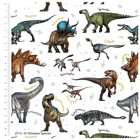 Dinosaur Species - White