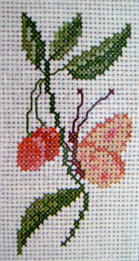 DMCT881K  Cherries and Butterfly